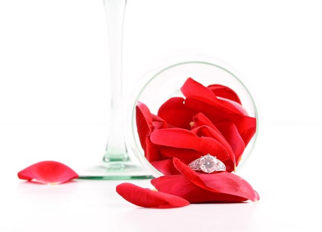 Le pouvoir des plantes